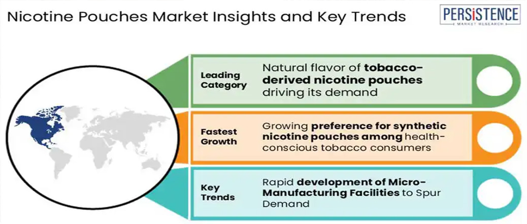 Nicotine Pouches Market Share and Trends Analysis